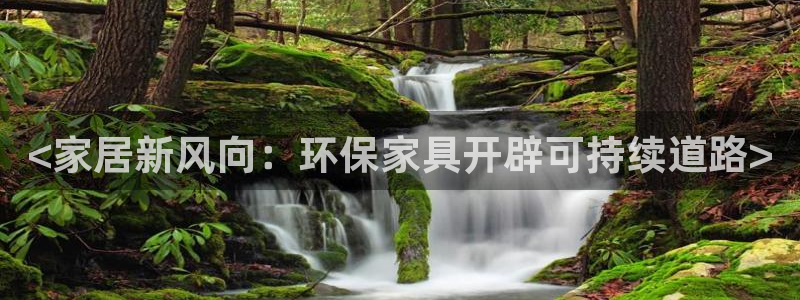 杏耀平台网站是什么