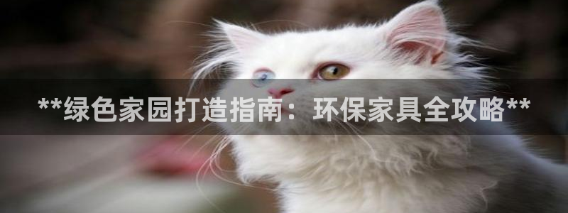 杏耀代理主管qq
