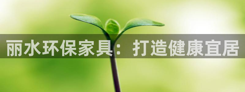 杏耀平台代理怎么赚钱的