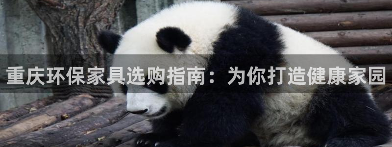 杏耀平台待遇