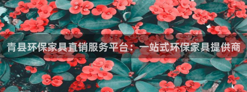 杏耀平台客服：青县环保家具直销服务平台：一站式环保家具提供商