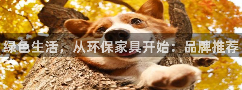 杏耀平台登录入口：绿色生活，从环保家具开始：品牌推荐