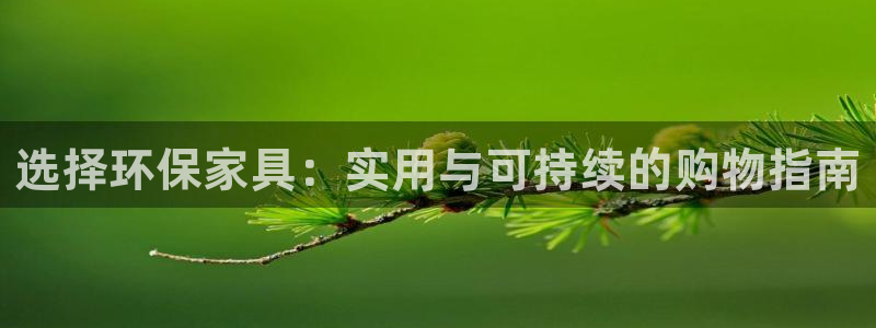 杏耀代理官网：选择环保家具：实用与可持续的购物指南