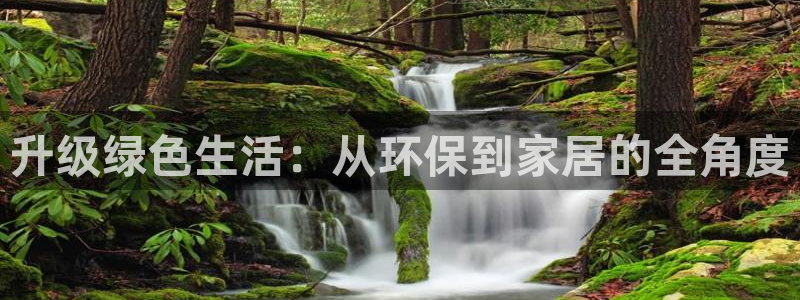 杏耀平台待遇