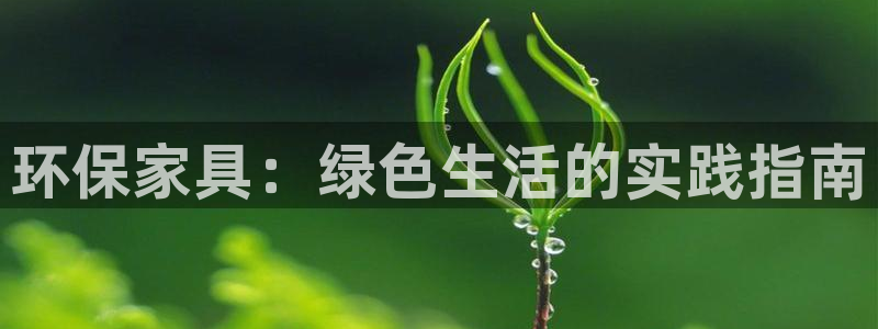 杏耀软件