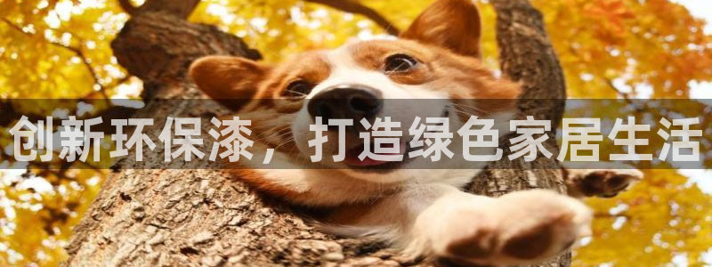 杏耀如何注册：创新环保漆，打造绿色家居生活