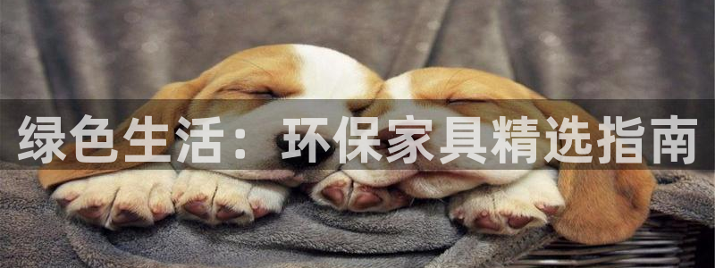 杏耀平台测速地址：绿色生活：环保家具精选指南