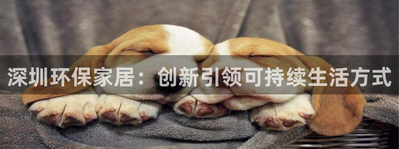 杏耀平台登陆测速