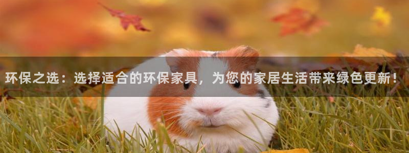 杏耀平台登录网址是什么：环保之选：选择适合的环保家具，为您的
