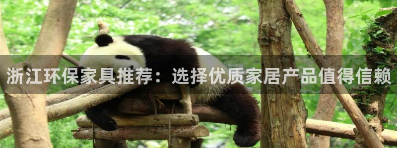 杏耀平台注册代理：浙江环保家具推荐：选择优质家居产品值得信赖