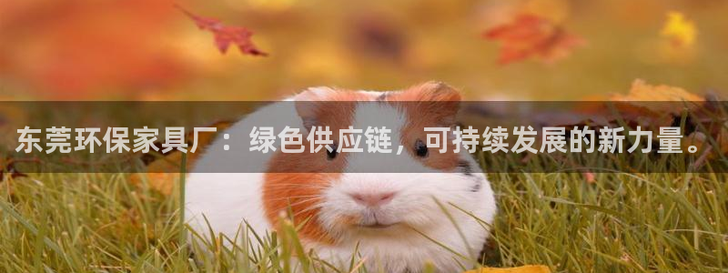 杏耀网页手机登录：东莞环保家具厂：绿色供应链，可持续发展的新