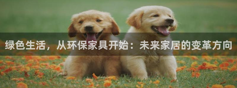 杏耀平台娱乐登陆