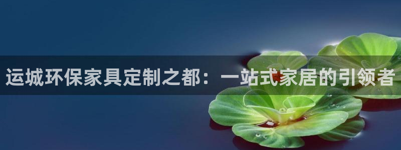 杏耀平台专用通道：运城环保家具定制之都：一站式家居的引领者