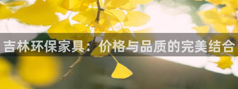 杏耀平台主管：吉林环保家具：价格与品质的完美结合
