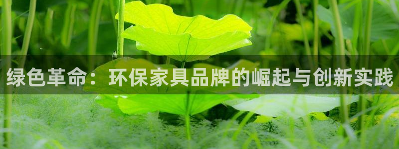 杏耀平台官方登录：绿色革命：环保家具品牌的崛起与创新实践