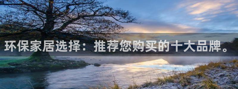 杏耀平台代理怎么赚钱快：环保家居选择：推荐您购买的十大品牌。