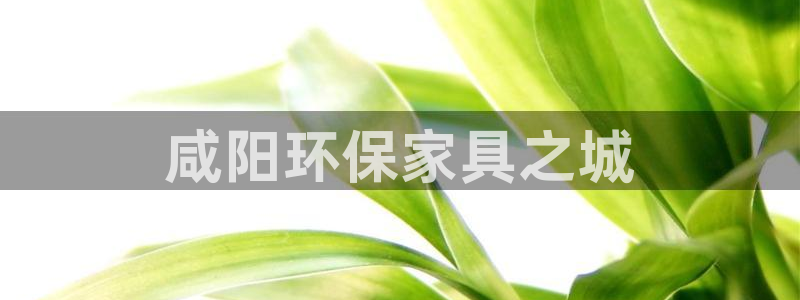 杏耀平台登陆地址：咸阳环保家具之城