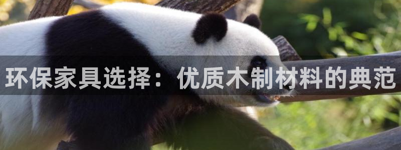 杏耀平台待遇：环保家具选择：优质木制材料的典范
