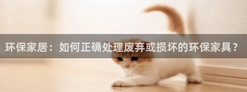 杏耀管网登录：环保家居：如何正确处理废弃或损坏的环保家具？