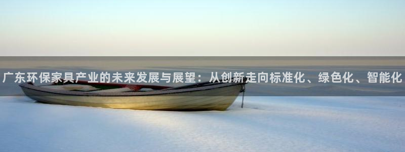 杏耀3代理：广东环保家具产业的未来发展与展望：从创新走向标准