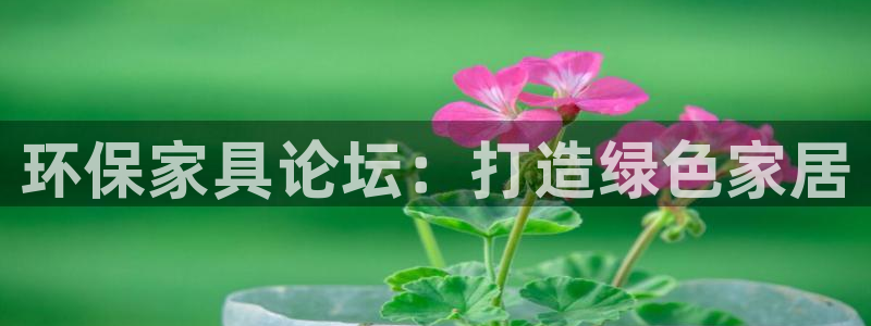 杏耀代理登录中心怎么进：环保家具论坛：打造绿色家居