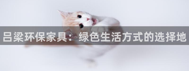 杏耀平台代理：吕梁环保家具：绿色生活方式的选择地