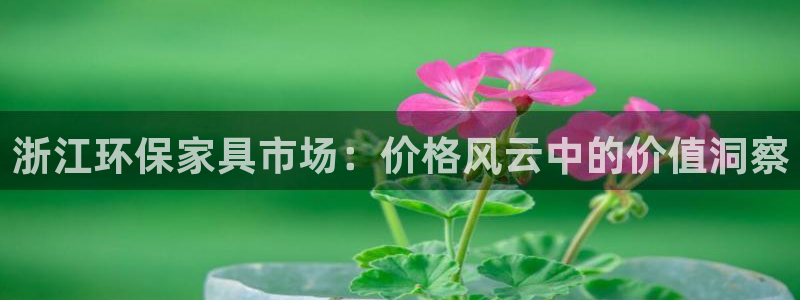 杏耀平台官方网站下载：浙江环保家具市场：价格风云中的价值洞察