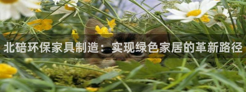 杏耀平台登录：北碚环保家具制造：实现绿色家居的革新路径