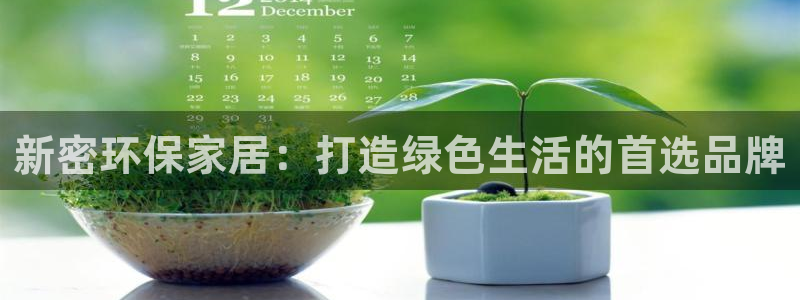 杏耀平台分红：新密环保家居：打造绿色生活的首选品牌