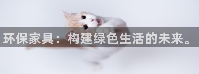 杏耀代理注册：环保家具：构建绿色生活的未来。